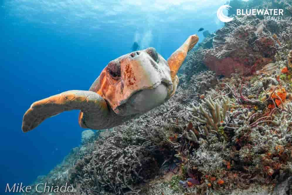 Thumbnail 5 Thumbnail 5