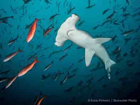 Thumbnail 2 Thumbnail 2