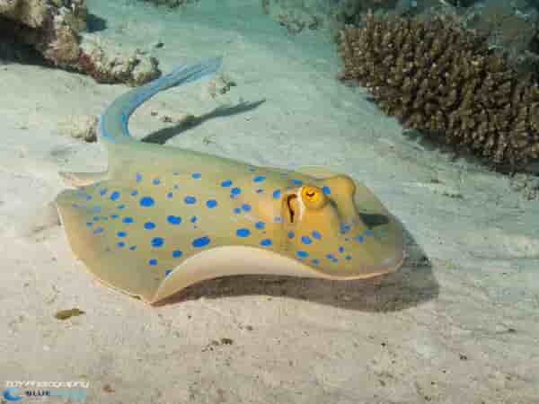 Thumbnail 3 Thumbnail 3