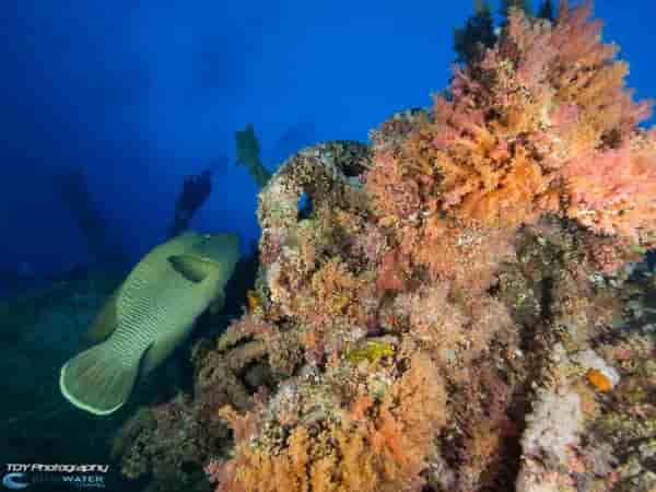 Thumbnail 5 Thumbnail 5