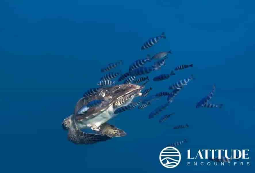 Thumbnail 4 Thumbnail 4