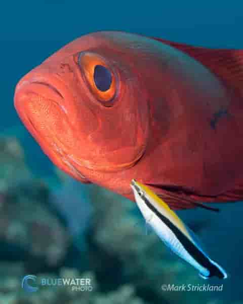 Thumbnail 2 Thumbnail 2