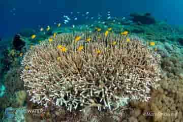 Thumbnail 6 Thumbnail 6