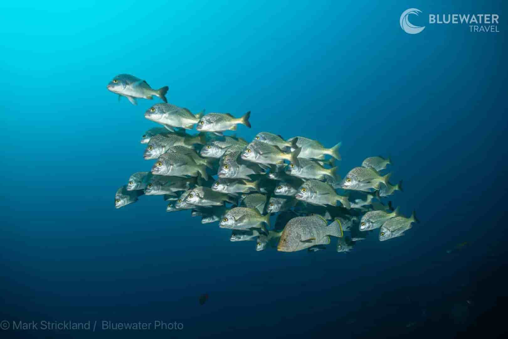 Thumbnail 9 Thumbnail 9