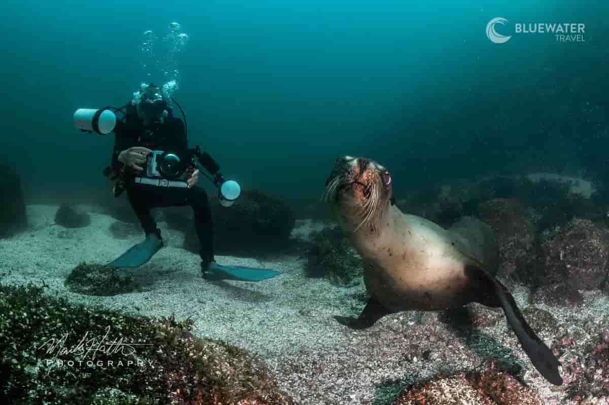 Thumbnail 2 Thumbnail 2