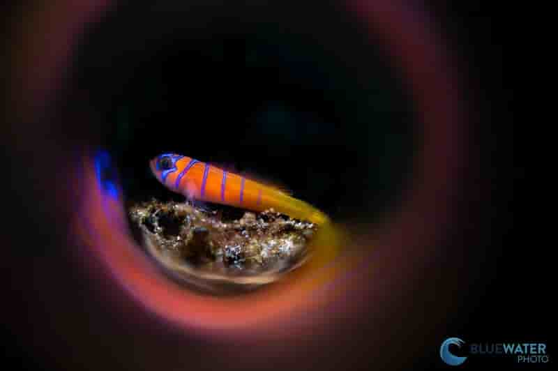 Thumbnail 4 Thumbnail 4