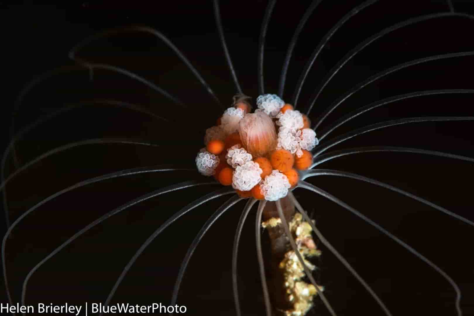 Thumbnail 3 Thumbnail 3