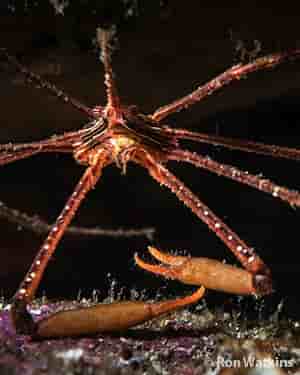 Thumbnail 5 Thumbnail 5