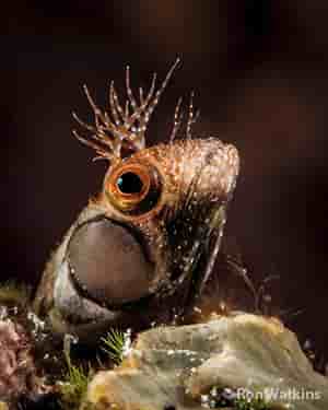 Thumbnail 7 Thumbnail 7