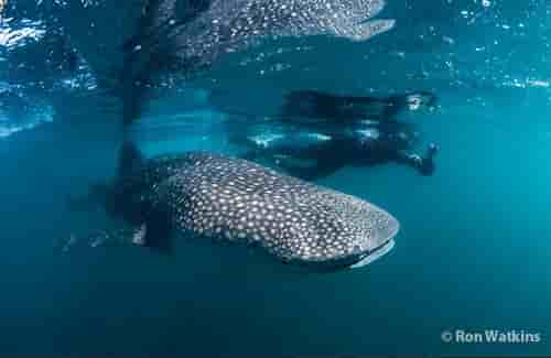 Thumbnail 9 Thumbnail 9