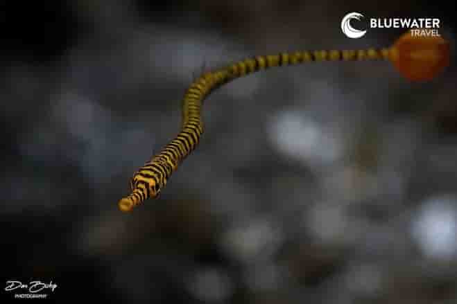 Thumbnail 2 Thumbnail 2