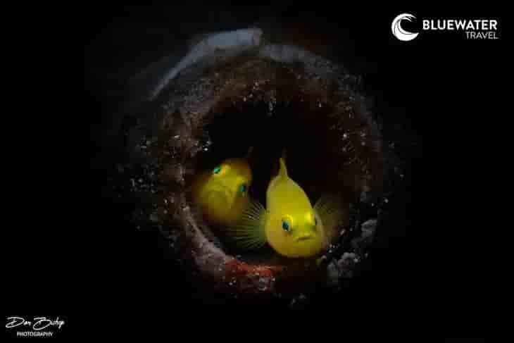 Thumbnail 5 Thumbnail 5