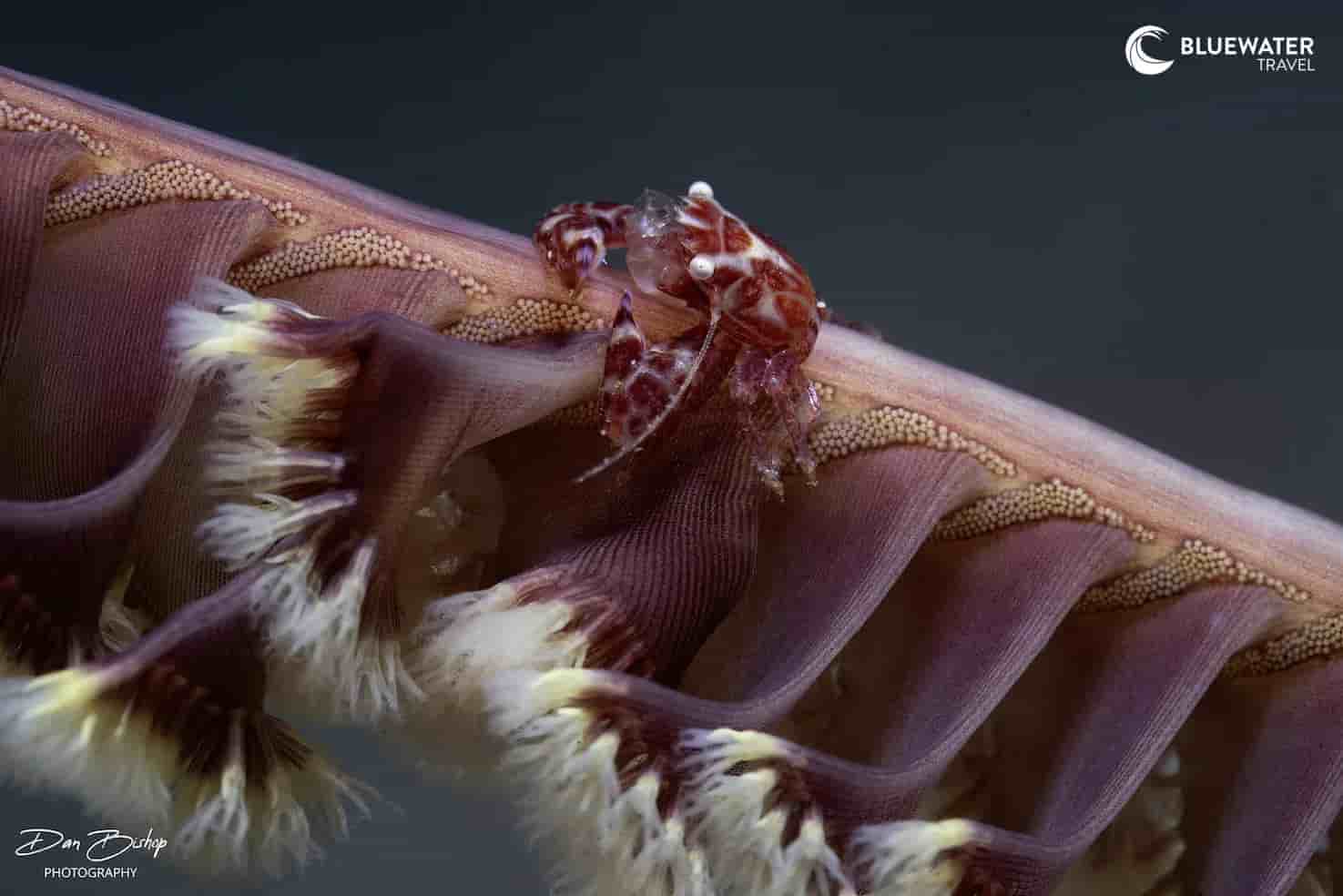 Thumbnail 1 Thumbnail 1