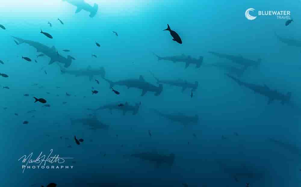 Thumbnail 1 Thumbnail 1