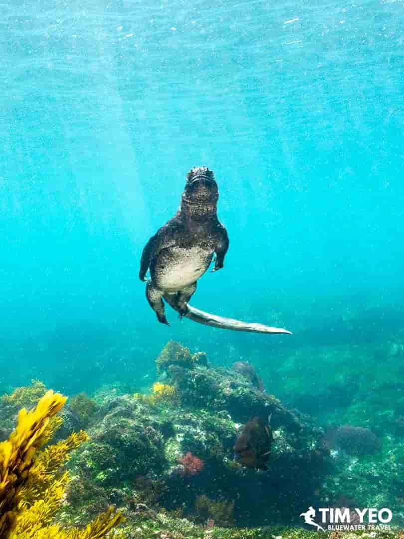 Thumbnail 4 Thumbnail 4