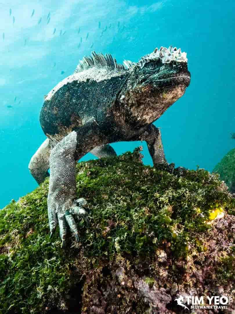 Thumbnail 5 Thumbnail 5