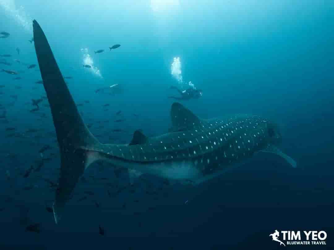 Thumbnail 6 Thumbnail 6