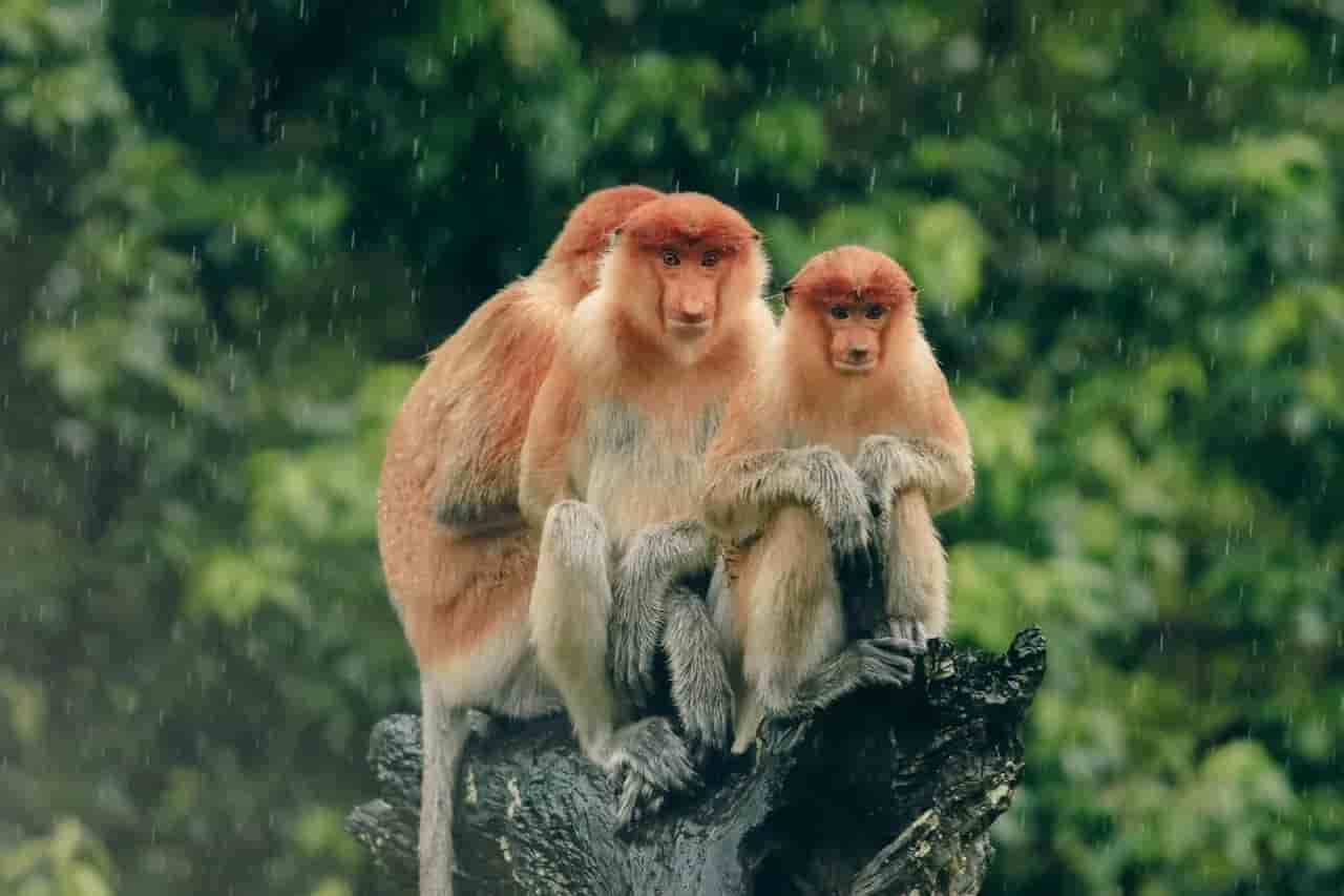 Thumbnail 5 Thumbnail 5