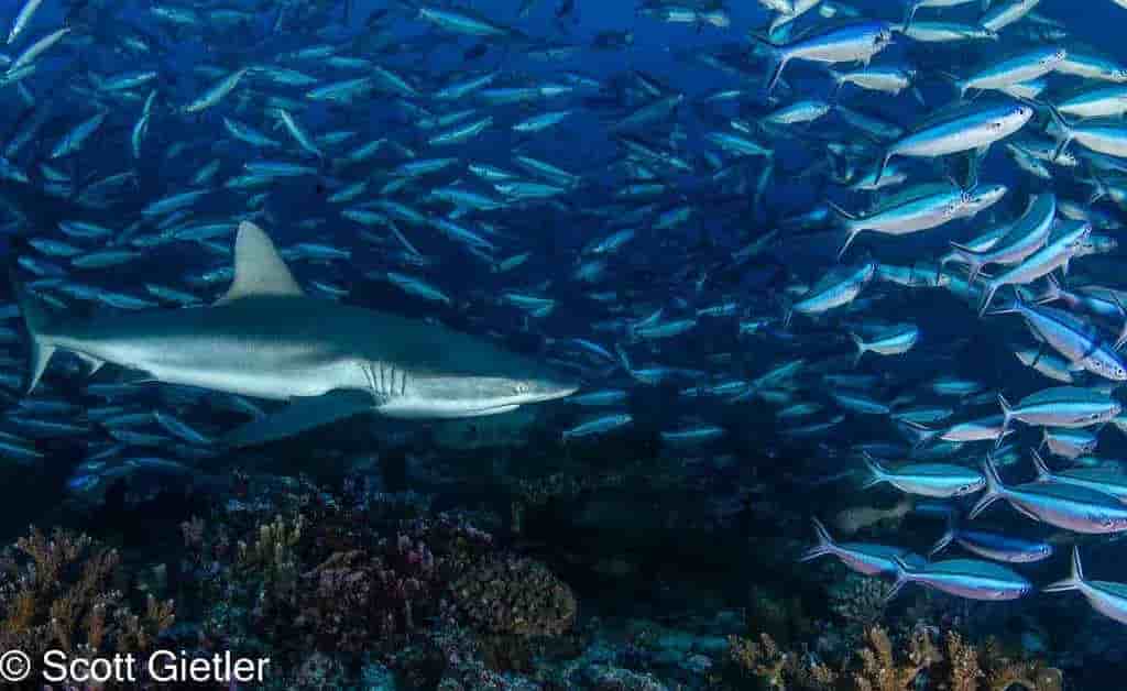 Thumbnail 4 Thumbnail 4