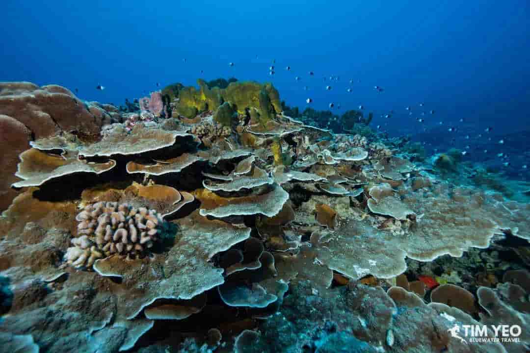 Thumbnail 6 Thumbnail 6