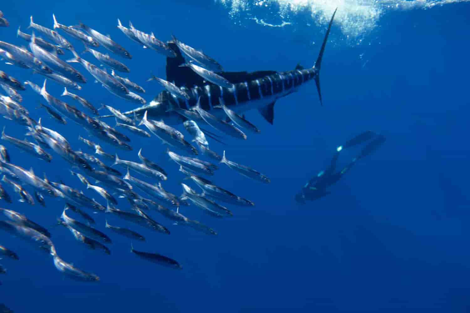 Thumbnail 7 Thumbnail 7