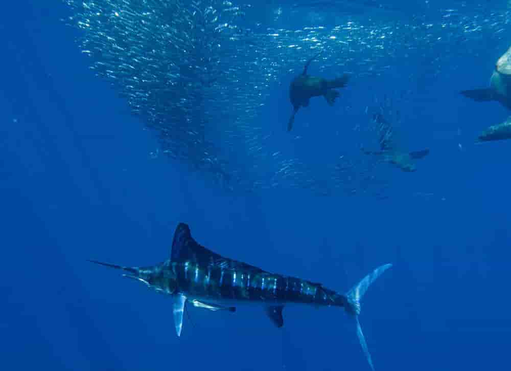 Thumbnail 8 Thumbnail 8