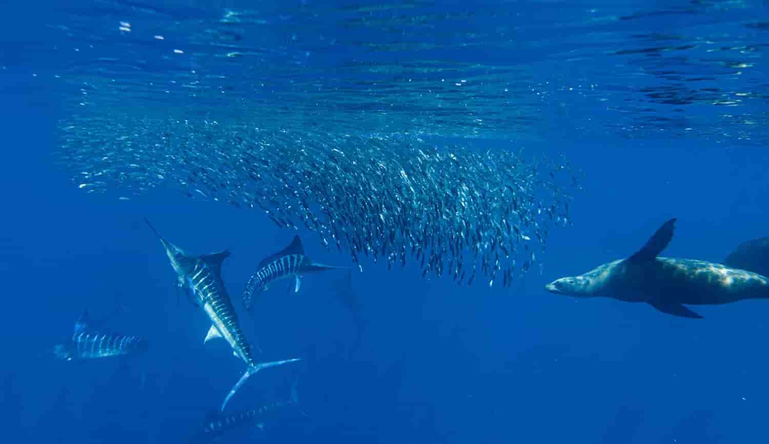 Thumbnail 9 Thumbnail 9