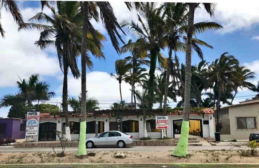 Thumbnail 11 Thumbnail 11