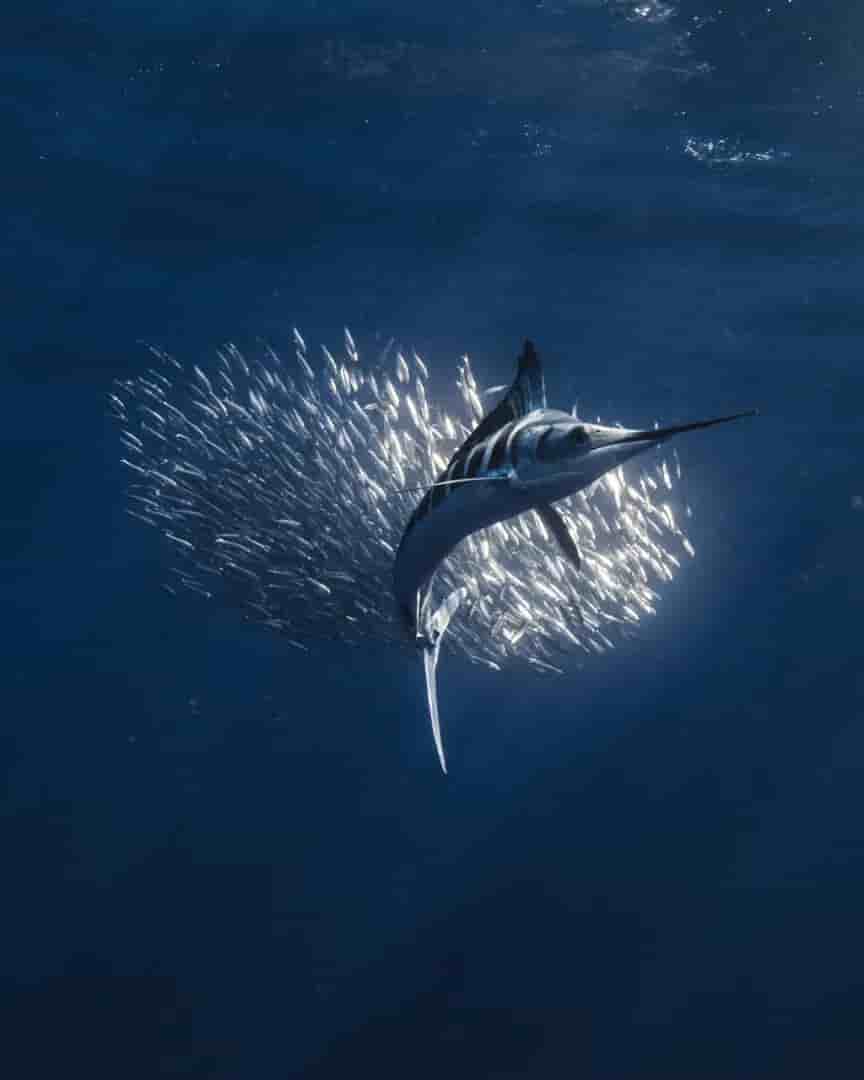 Thumbnail 3 Thumbnail 3