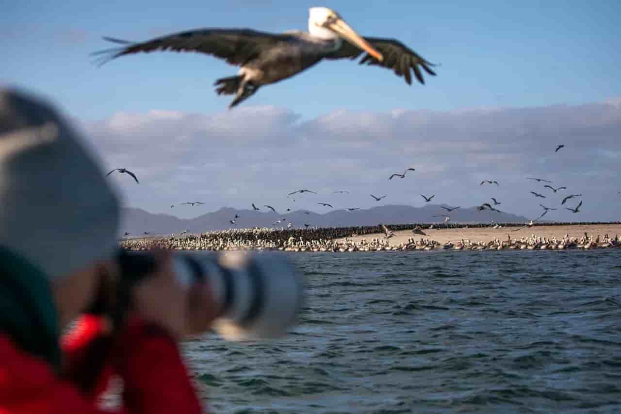 Thumbnail 5 Thumbnail 5