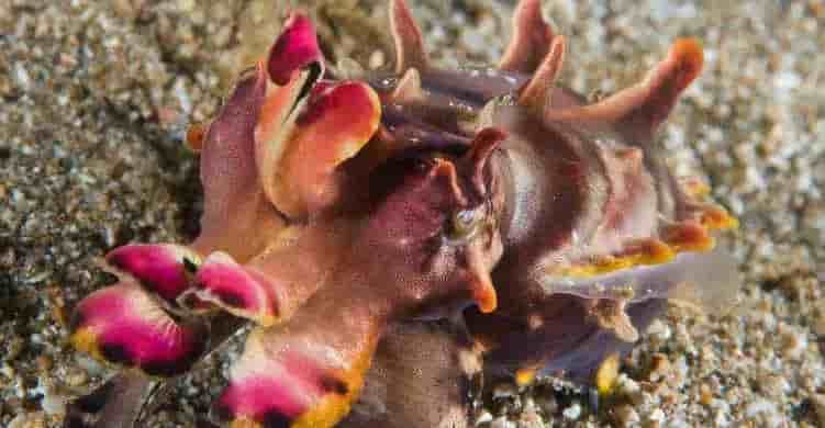 Thumbnail 3 Thumbnail 3