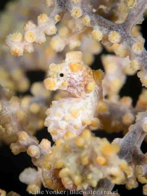 Thumbnail 5 Thumbnail 5