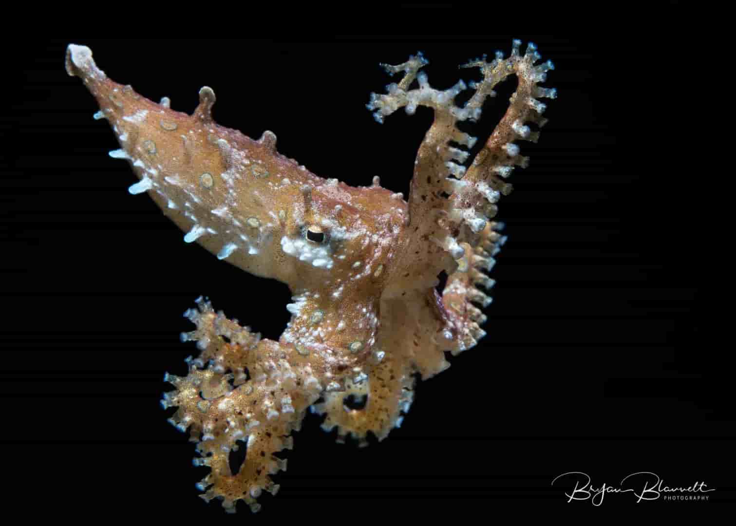 Thumbnail 5 Thumbnail 5