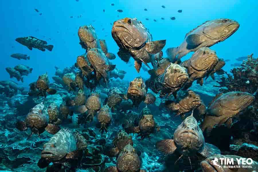 Thumbnail 1 Thumbnail 1