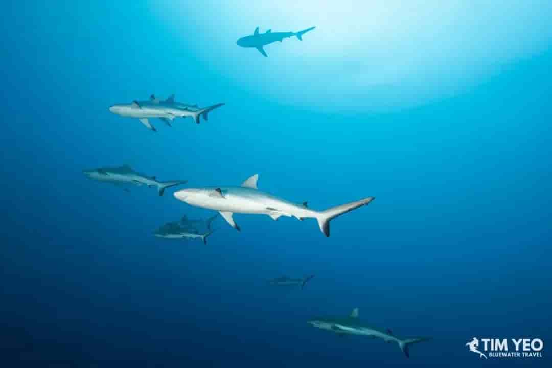 Thumbnail 2 Thumbnail 2