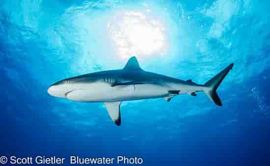 Thumbnail 4 Thumbnail 4