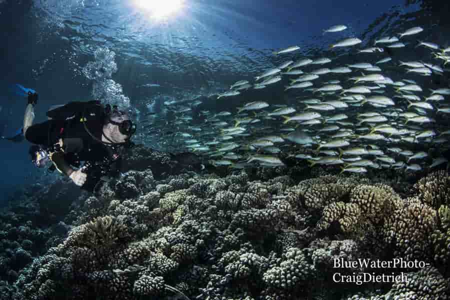 Thumbnail 5 Thumbnail 5