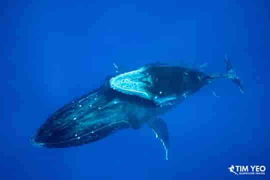 Thumbnail 2 Thumbnail 2