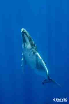 Thumbnail 3 Thumbnail 3