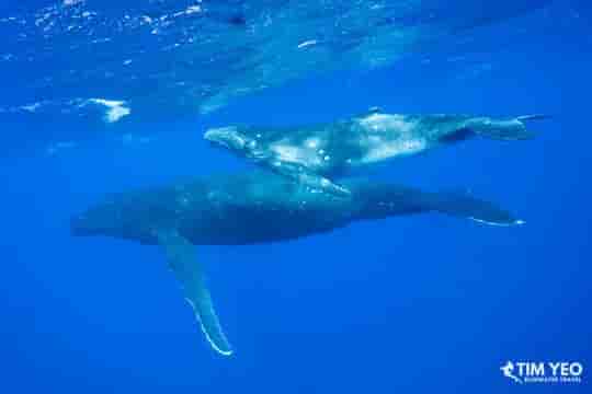 Thumbnail 4 Thumbnail 4