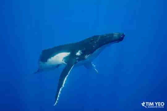 Thumbnail 5 Thumbnail 5