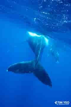 Thumbnail 6 Thumbnail 6