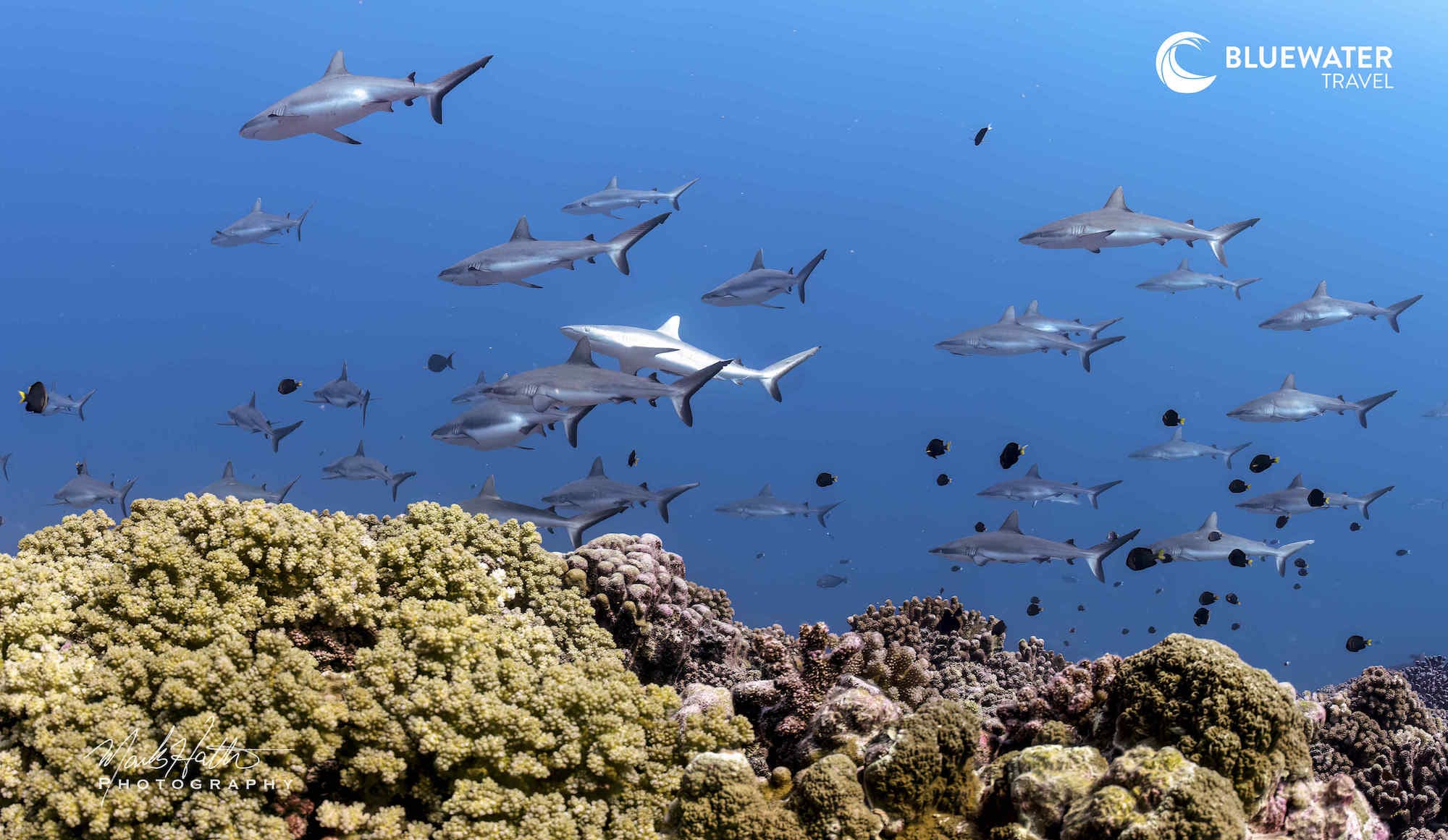 Moorea Trip Extension Moorea Trip Extension