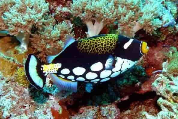 Thumbnail 2 Thumbnail 2