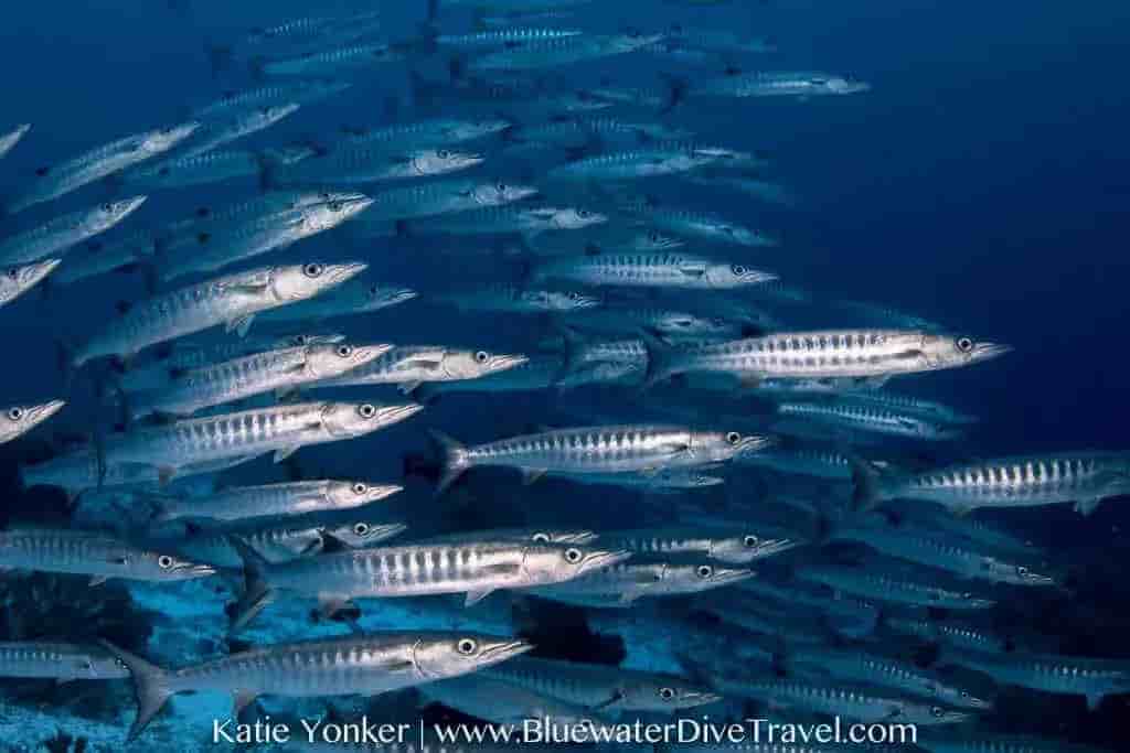 Thumbnail 5 Thumbnail 5