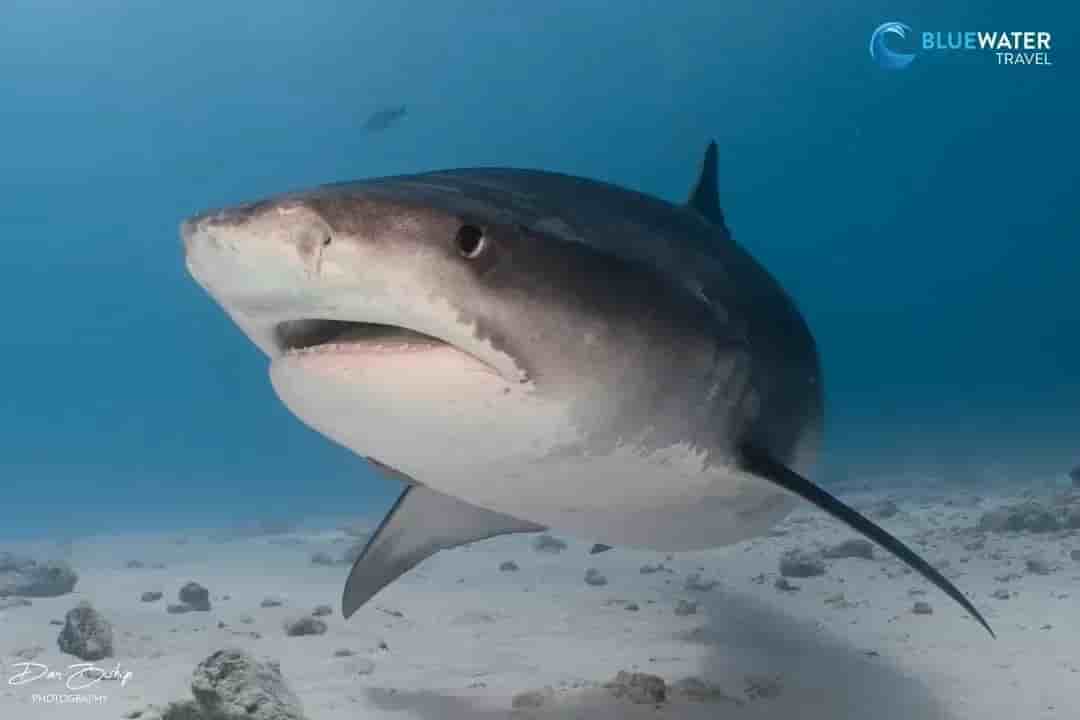 Thumbnail 5 Thumbnail 5