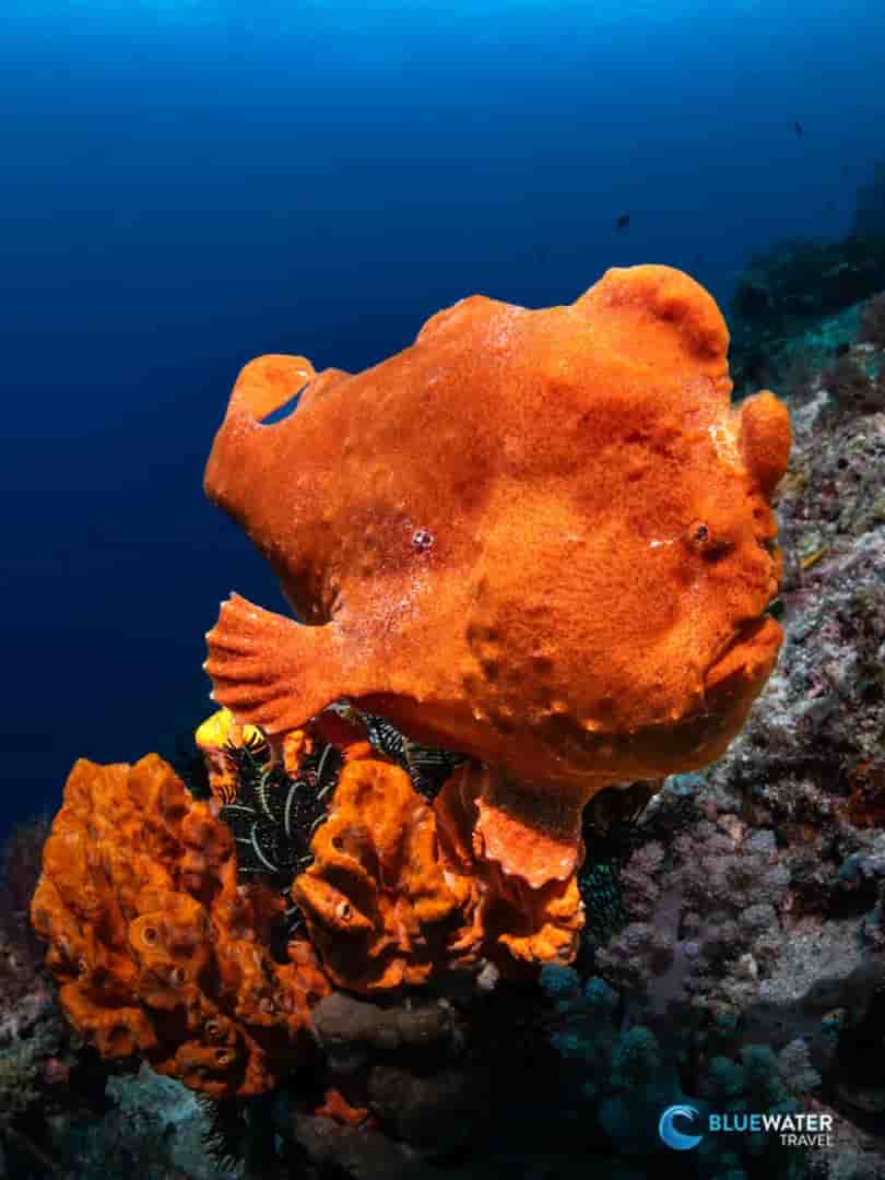 Thumbnail 2 Thumbnail 2