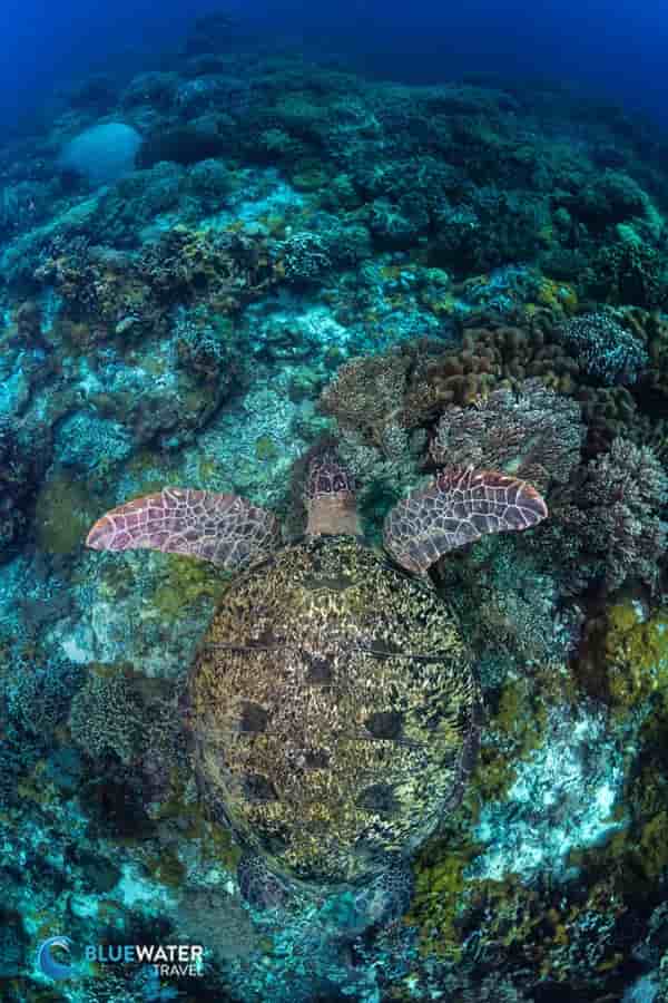 Thumbnail 4 Thumbnail 4