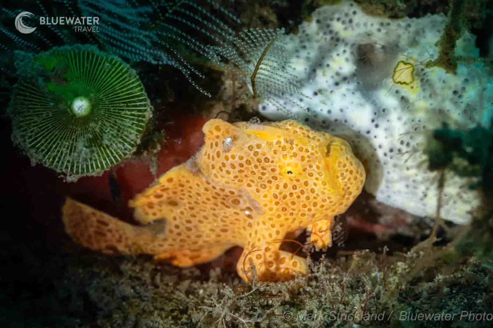 Thumbnail 5 Thumbnail 5