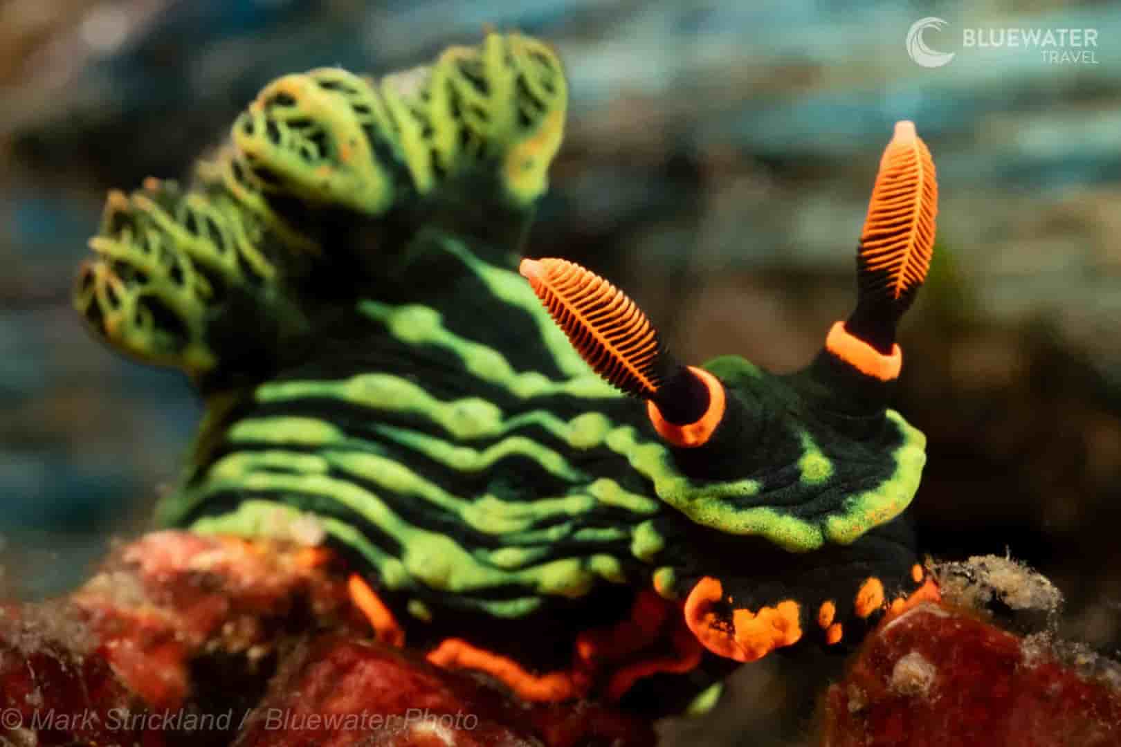 Thumbnail 6 Thumbnail 6